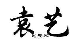 胡問遂袁藝行書個性簽名怎么寫