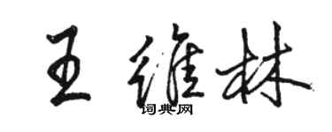 駱恆光王維林行書個性簽名怎么寫