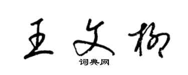 梁錦英王文柳草書個性簽名怎么寫