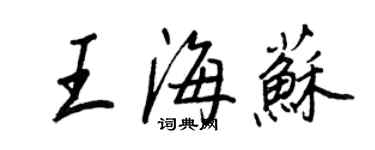 王正良王海蘇行書個性簽名怎么寫
