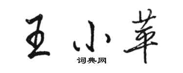 駱恆光王小苹行書個性簽名怎么寫