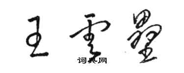 駱恆光王雲壘草書個性簽名怎么寫