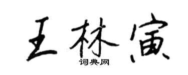 王正良王林寅行書個性簽名怎么寫