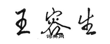 駱恆光王容生行書個性簽名怎么寫