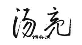 駱恆光湯亮草書個性簽名怎么寫