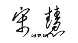 駱恆光宋慧草書個性簽名怎么寫