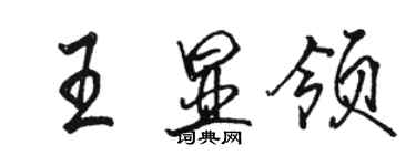 駱恆光王顯領行書個性簽名怎么寫