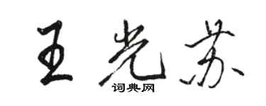 駱恆光王光蘇行書個性簽名怎么寫