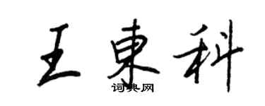 王正良王東科行書個性簽名怎么寫