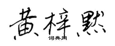 王正良黃梓默行書個性簽名怎么寫