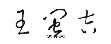 駱恆光王閩吉草書個性簽名怎么寫