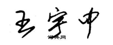 朱錫榮王宇中草書個性簽名怎么寫