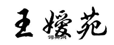 胡問遂王嬡苑行書個性簽名怎么寫