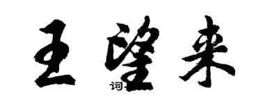 胡問遂王望來行書個性簽名怎么寫