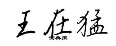 王正良王在猛行書個性簽名怎么寫