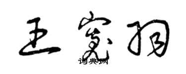 曾慶福王寬羽草書個性簽名怎么寫