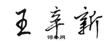 駱恆光王辛新行書個性簽名怎么寫