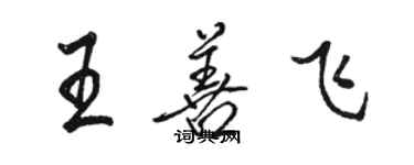 駱恆光王善飛行書個性簽名怎么寫