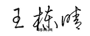 駱恆光王棟晴草書個性簽名怎么寫