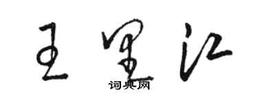 駱恆光王里江草書個性簽名怎么寫