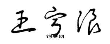 曾慶福王寧浪草書個性簽名怎么寫