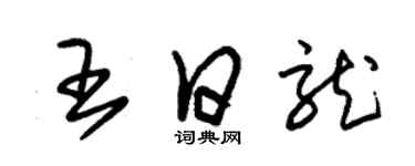 朱錫榮王日龍草書個性簽名怎么寫