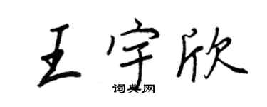 王正良王宇欣行書個性簽名怎么寫
