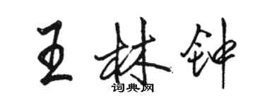 駱恆光王林鐘行書個性簽名怎么寫