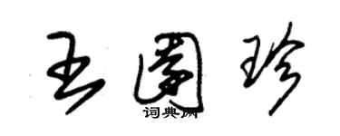 朱錫榮王園珍草書個性簽名怎么寫