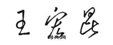 駱恆光王宏昆草書個性簽名怎么寫