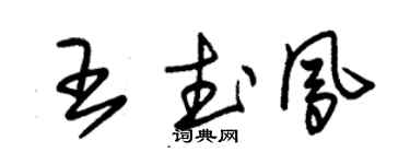 朱錫榮王武鳳草書個性簽名怎么寫