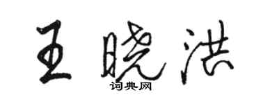 駱恆光王曉洪行書個性簽名怎么寫