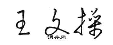 駱恆光王文操草書個性簽名怎么寫