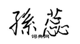 王正良孫蕊行書個性簽名怎么寫