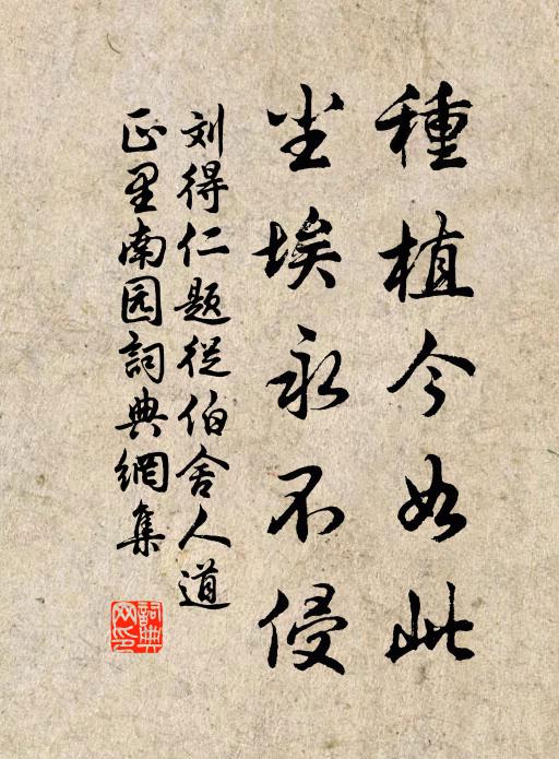 眼底浮華俱已矣,籬東老菊獨依然 詩詞名句