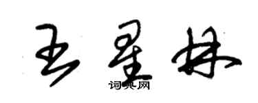 朱錫榮王星林草書個性簽名怎么寫