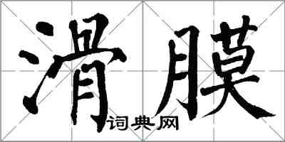 翁闓運滑膜楷書怎么寫