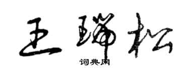 曾慶福王瑞松草書個性簽名怎么寫