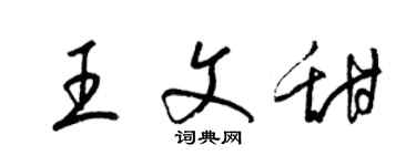 梁錦英王文甜草書個性簽名怎么寫