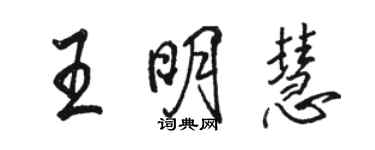 駱恆光王明慧行書個性簽名怎么寫