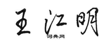 駱恆光王江明行書個性簽名怎么寫