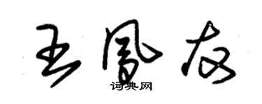 朱錫榮王鳳友草書個性簽名怎么寫