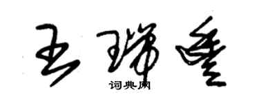 朱錫榮王瑞豐草書個性簽名怎么寫