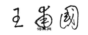 駱恆光王甫國草書個性簽名怎么寫