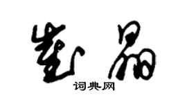 朱錫榮崔晶草書個性簽名怎么寫