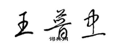 梁錦英王普忠草書個性簽名怎么寫