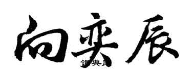 胡問遂向奕辰行書個性簽名怎么寫