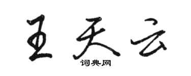 駱恆光王天雲行書個性簽名怎么寫