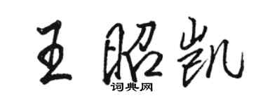 駱恆光王昭凱行書個性簽名怎么寫