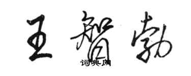 駱恆光王智勃行書個性簽名怎么寫